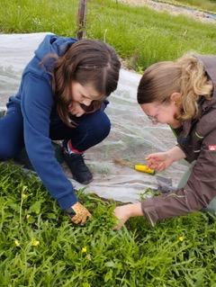 Kinder im Gemüsebeet
