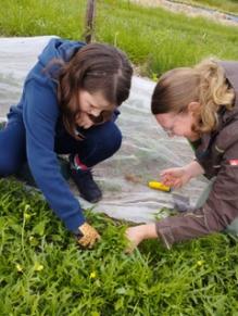 Kinder im Gemüsebeet