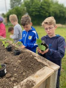 Auch die Jungs haben Spaß am Pflanzen
