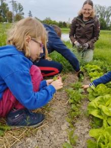 Kinder im Gemüsebeet