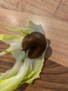 Was noch gefunden wurde