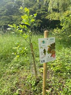 Die fertigen Infotafeln