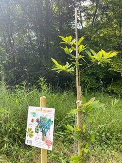 Die fertigen Infotafeln