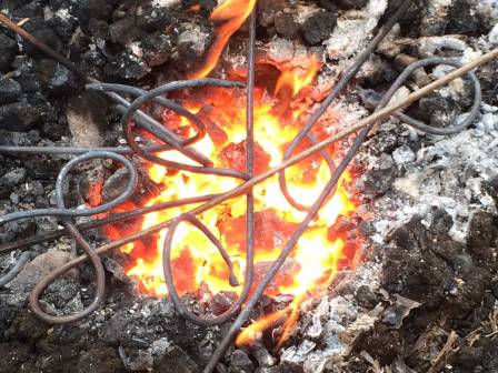 Wir stärken Wurzeln!